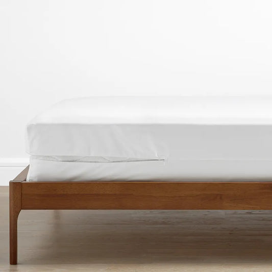 Mattress/Box Spring Protector - 12 in., Twin