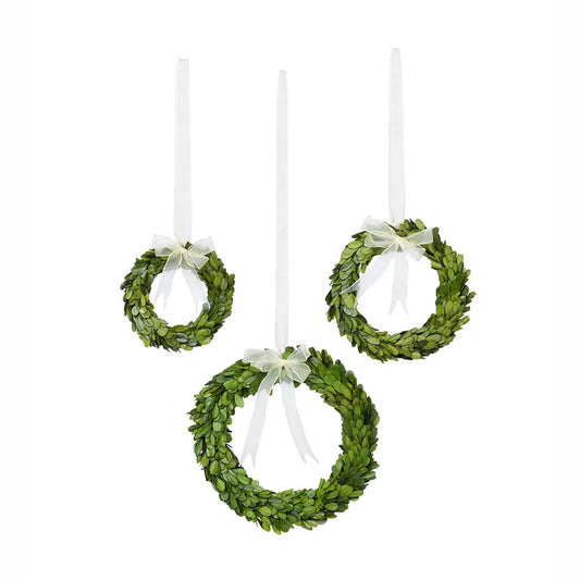 Preserved Boxwood Wreaths with Ivory Ribbon, Set of 3 - Green